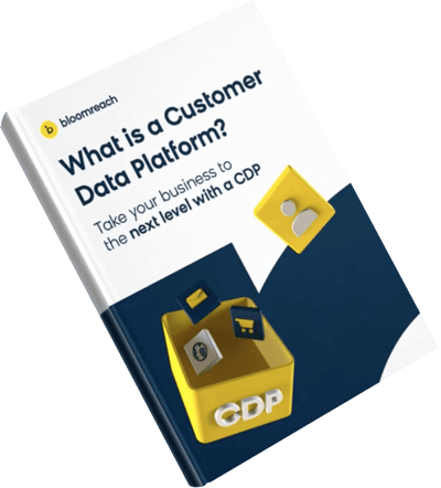 What is a Customer Data Platform