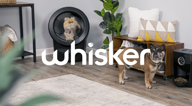 Whisker Case Study