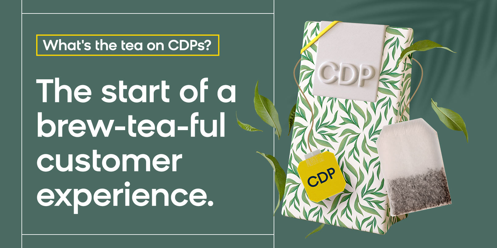 What's the Tea on CDPs? Get the inside steep on the value of CDPs